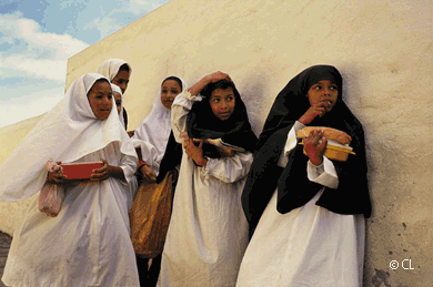 Madrassa